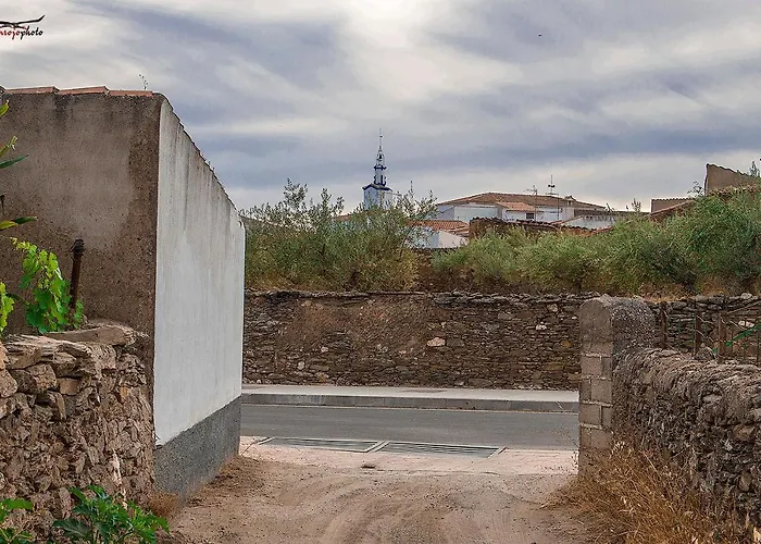 Julio Vegas Santiago Del Campo